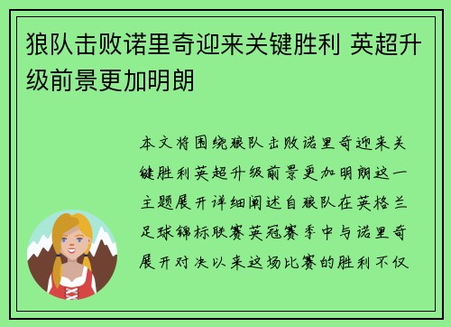 狼队击败诺里奇迎来关键胜利 英超升级前景更加明朗